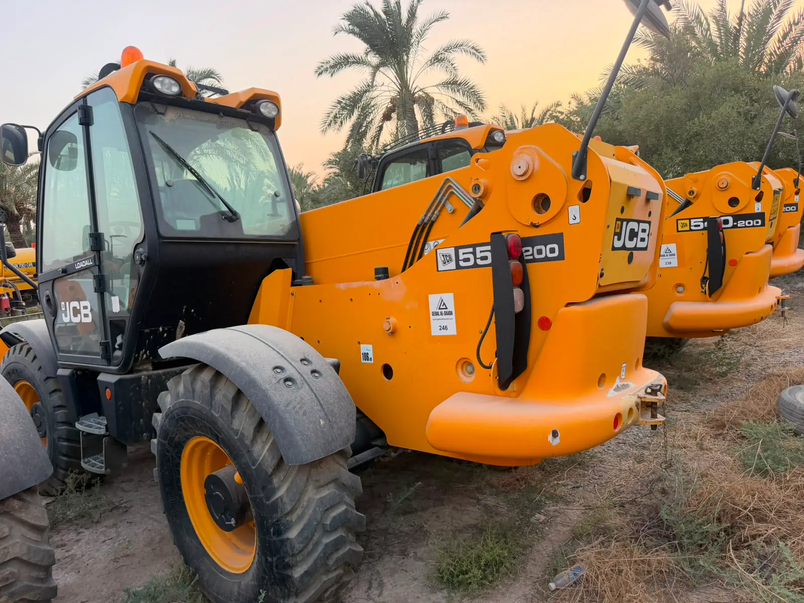 A row of telehandlers at dusk beneath the date palms